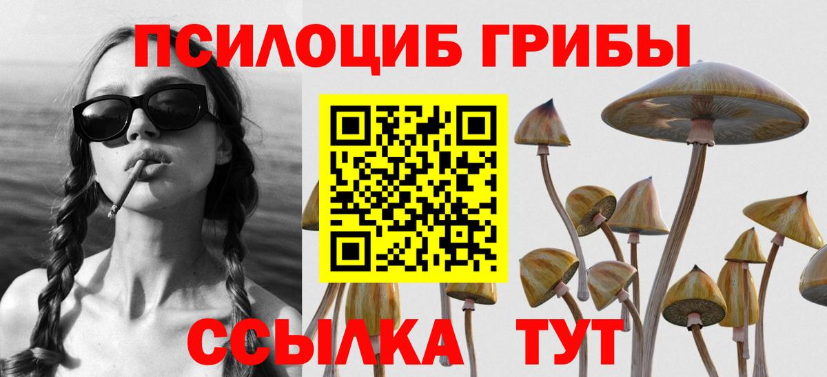 Биробиджан  Псилоцибиновые грибы мицелий  Вход с VPN 